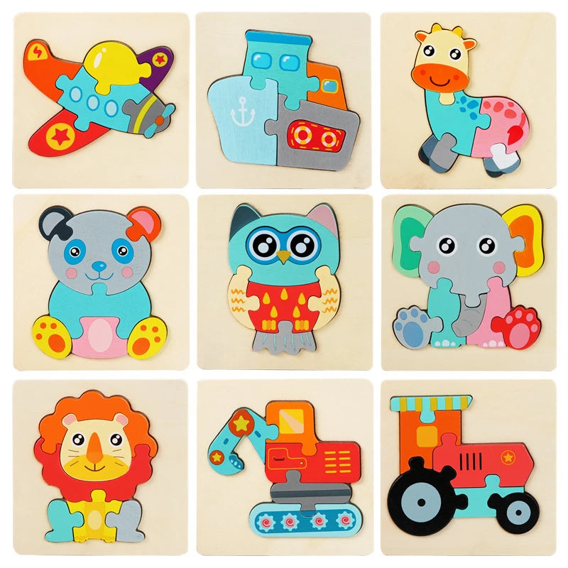 Montessori Toys 3D Puzzle