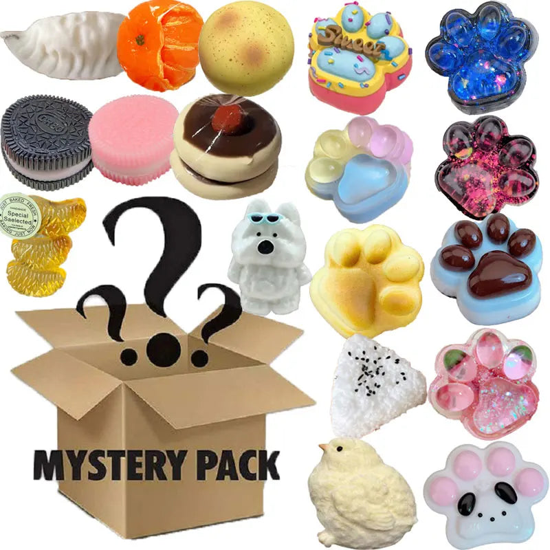 Mystery Fidget Toy