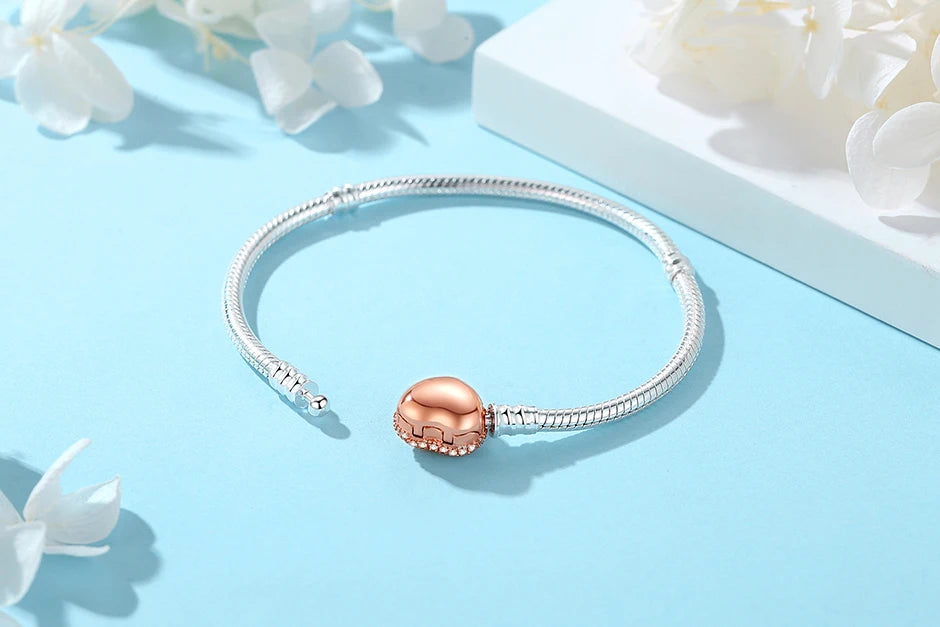 Sterlin Silver Charm Bracelets