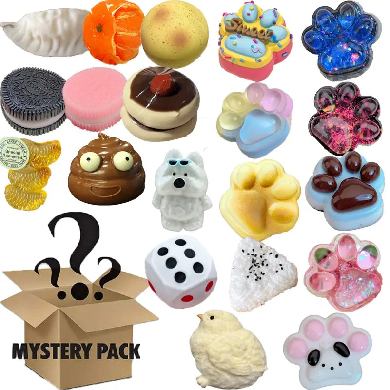 Mystery Fidget Toy