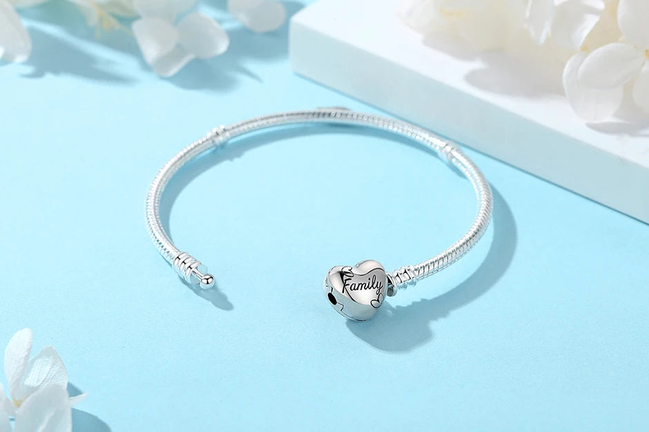Sterlin Silver Charm Bracelets